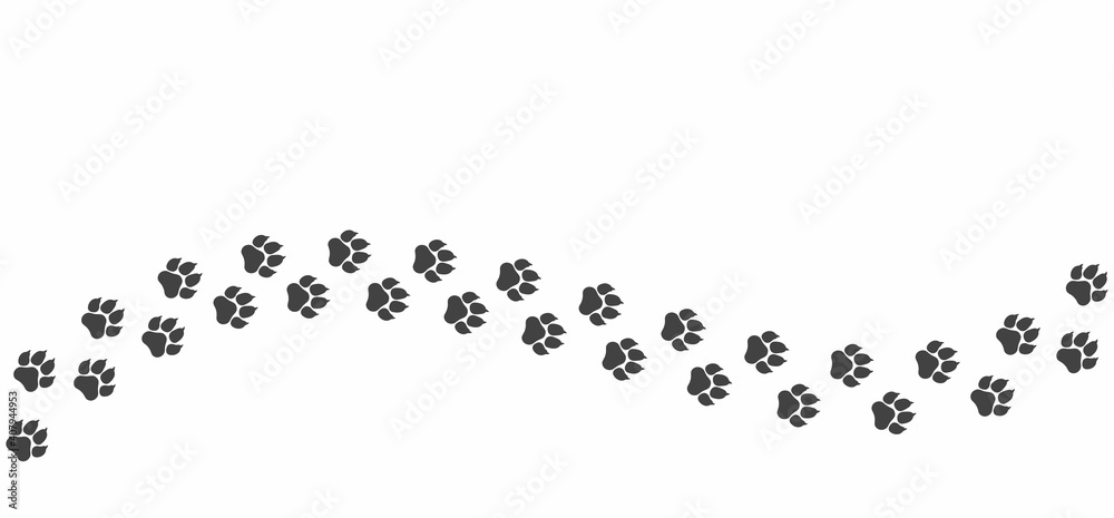 Black cat paw path isolated on white background. The curved vector path of cat foot prints. The kitten walked through the white snow Black cat paw path isolated on white background. The curved vector path of cat foot prints. The kitten walked through the white snow