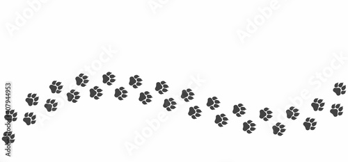 Black cat paw path isolated on white background. The curved vector path of cat foot prints. The kitten walked through the white snow