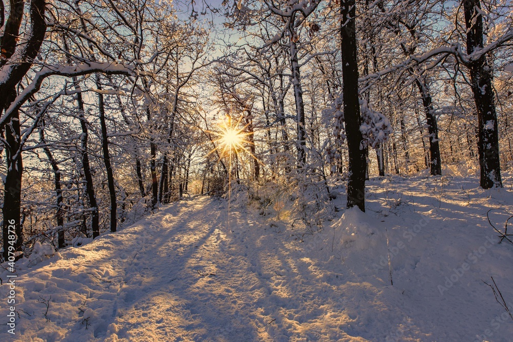 Winter Winter