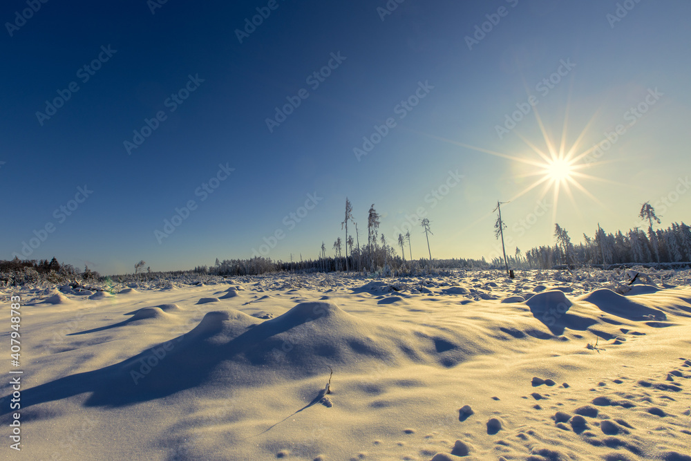 Winter Winter