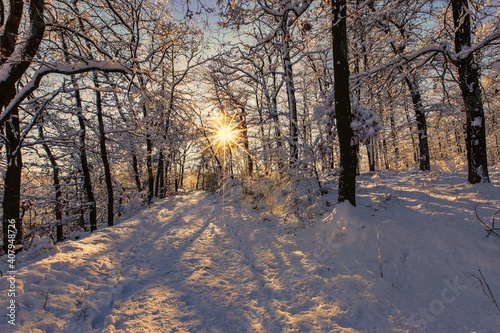 Winter © Karsten