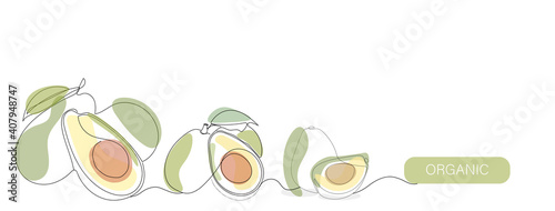 Avocado vector color illustration, background, banner for label design. One continuous line drawing of avocado with lettering Organic. Editable black stroke.