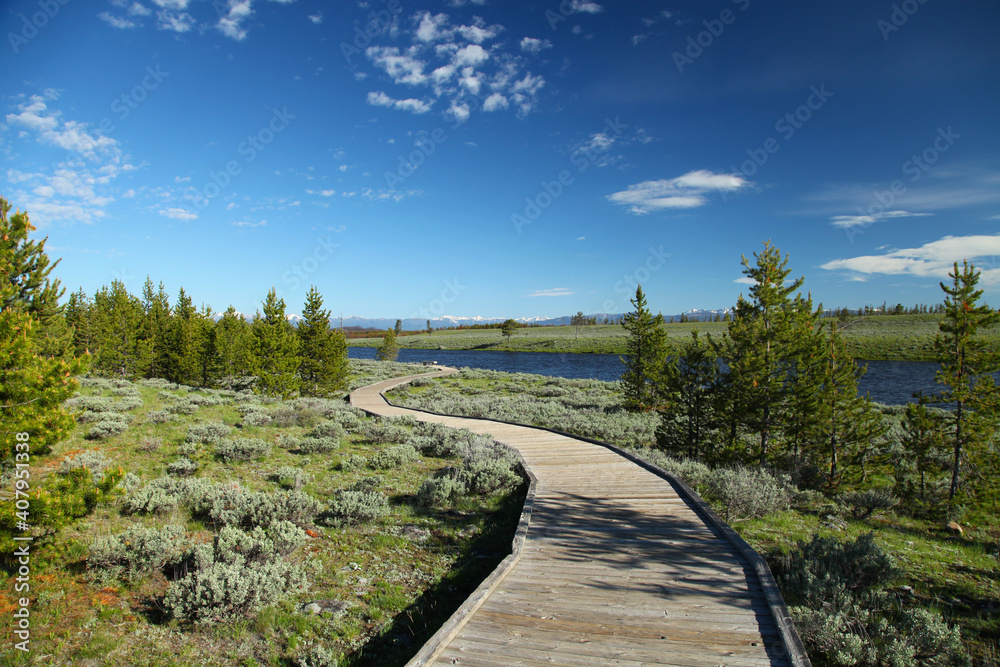 Two Ribbons Trail boardwalk along the Madison River in Yellowstone National Park, Wyoming