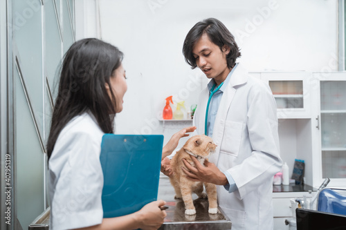 A cat sits on the table while two asian veterinarians in white coats examine at the vet clinic