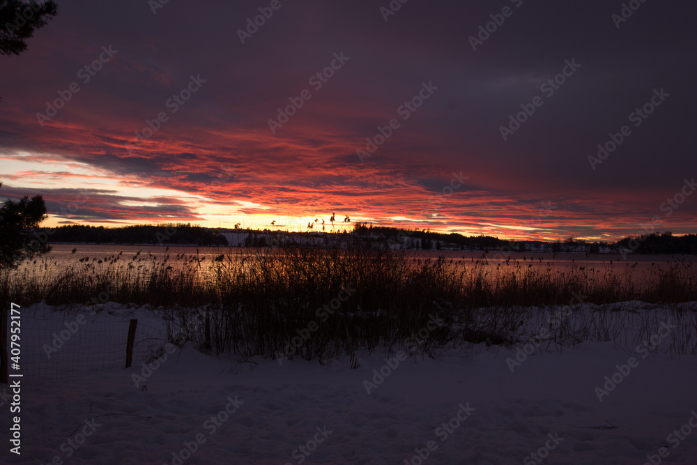 peacful winter evening mood at the lake of pfaeffikon (Pfäffikersee)