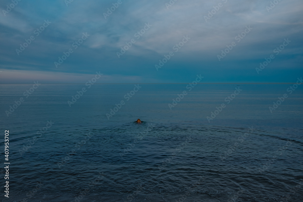 Fototapeta premium Hund schwimmt im Meer