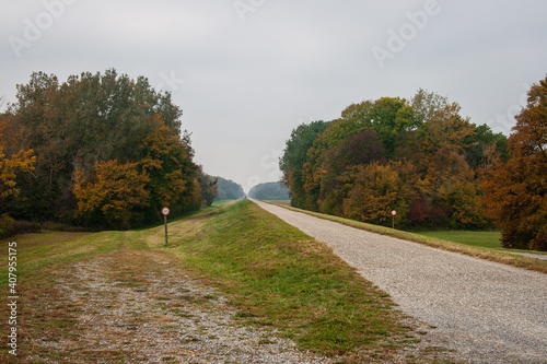 Photography View of autumn leaves in the trees in the park of Danube Cycle Path  in Germany