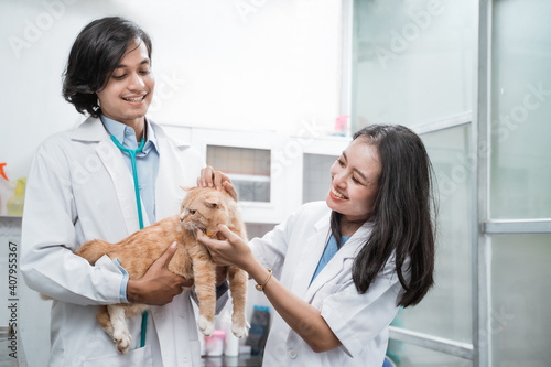 Asian woman vet holding and examining a cat brought by a male veterinarian at the vet clinic