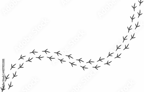 Footprints of birds. Vector paw prints of a pigeon isolated on a white background. Black legs extending beyond the borders of the picture.