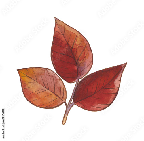 Watercolor autumn gold, orange, burgundy, brown and red leaves.
