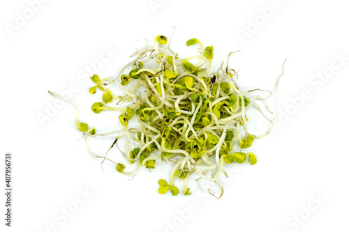 Radish sprouts isolated on white background top view