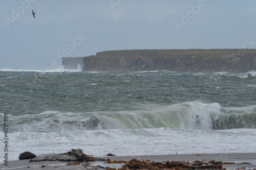 View from stormy seascape at Sea Lion Island, Falkland Islands.