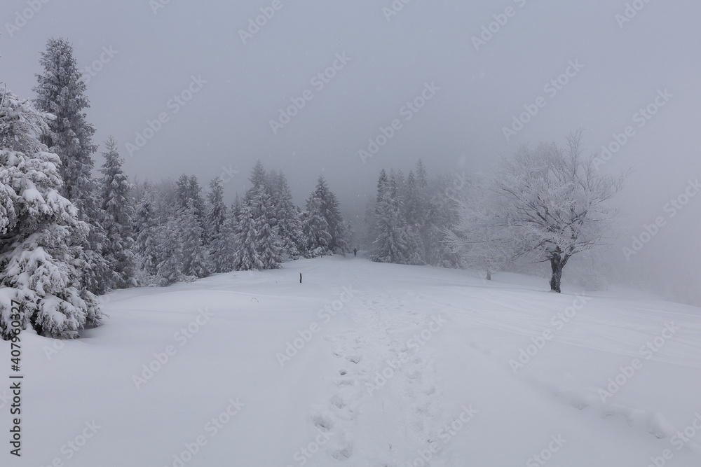 Zimowy Beskid