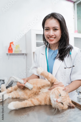 Fototapeta Naklejka Na Ścianę i Meble -  Smiling female doctor ultrasound examine a cat abdomen at the veterinarian hospital