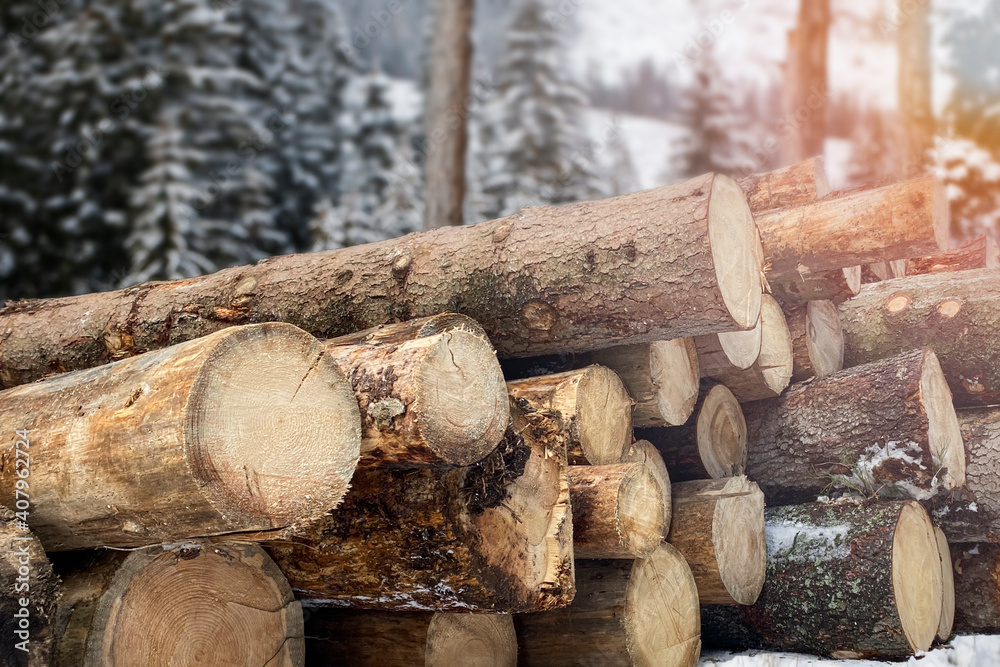 Log trunks pile, the logging timber forest wood industry. Wooden trunks timber harvesting in the winter. Copy space for text. Log trunks pile, the logging timber forest wood industry. Wooden trunks timber harvesting in the winter. Copy space for text.
