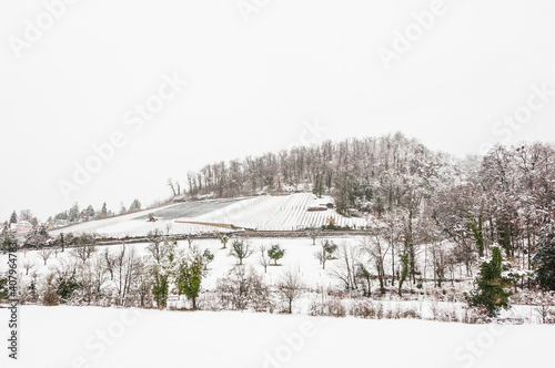 Arlesheim, Weinberg, Weinrebe, Weinbauer, Ermitage, Landwirtschaft, Dorf, Schloss Birseck, Baselland, Winter, Schnee, Schneedecke, Schneefall, Wintertag, Schweiz photo