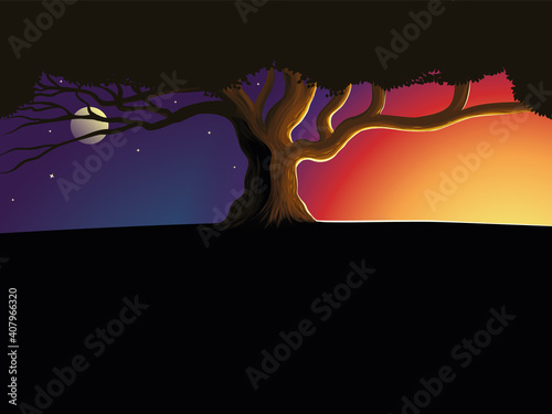 Tree silhouette at night and day. Silhouette of a lone tree against a beautiful sunset. Background nature vector illustration
