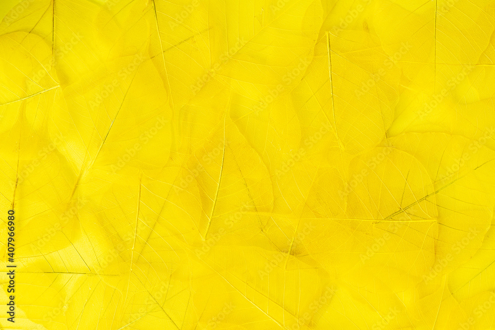 Beautiful abstract background with yellow skeleton leaves.