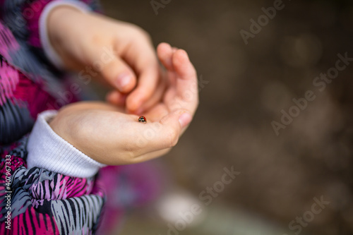 Ladybird on the child's arm © MARIYA