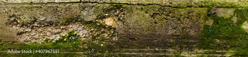 texture of concrete wall with mold