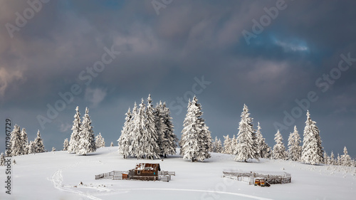 Mountain cabana and heavily snowed trees, Pangarati Peak, Harghita, Transylvania, Romania, Europe photo