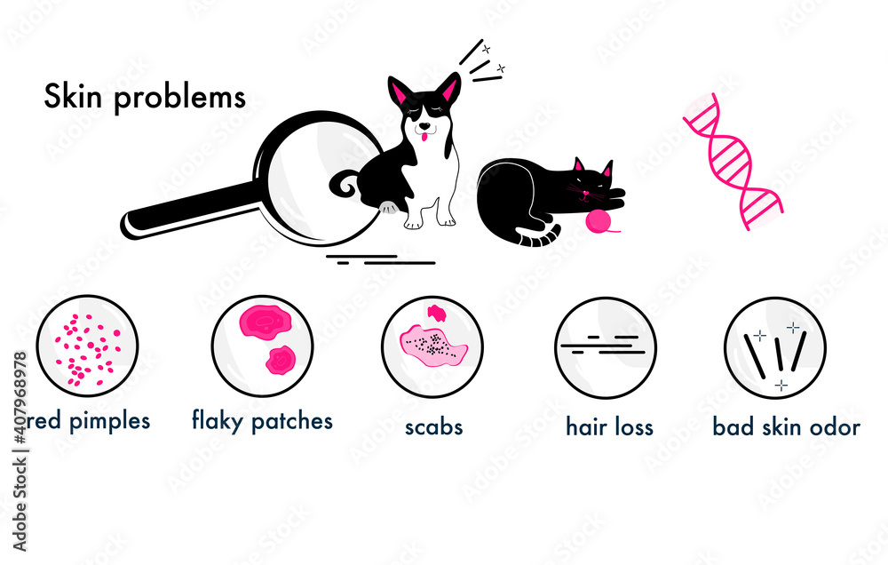 Cat and Dog skin problems.Infographic icons with different symptoms