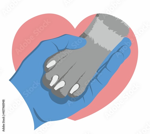 The hand of veterinarian in a medical glove gently holds a dog's paw on the background of a pink heart. Zoologist and animal. Symbol of love for dogs. Animal protecting community.