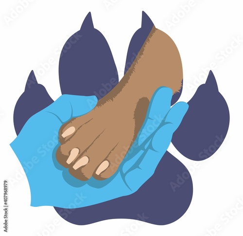 The hand of veterinarian in medical glove gently holds a dog's paw on the background of the imprint of a dog's paw. Symbol of love for dogs. Zoologist. Animal protecting community.