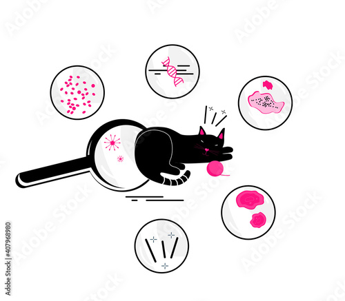 Cat skin problems.Infographics icons with different symptoms, allergy,itching and scabs.Feline healthcare.Veterinary banner.Zooming of hair loss,pimples.Animal parasites. Trendy vector.Black and Pink