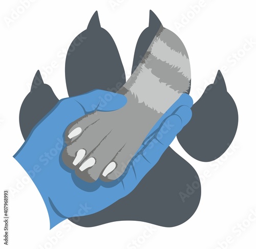 The hand of veterinarian in medical glove gently holds a dog's paw on the background of the imprint of a dog's paw. Symbol of love for dogs. Zoologist. Animal protecting community.