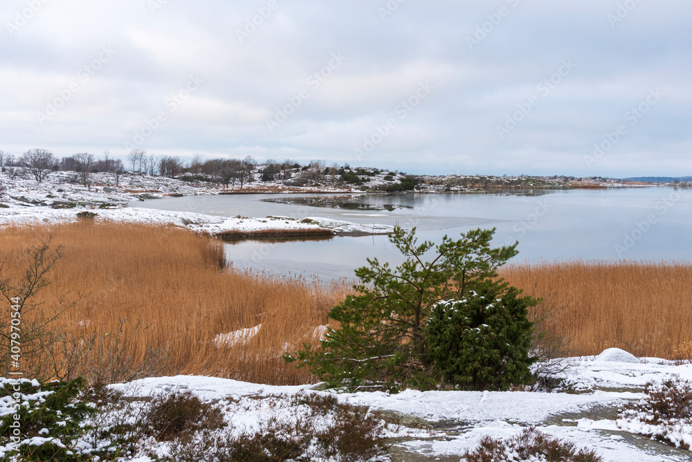 Swedish coast in winter