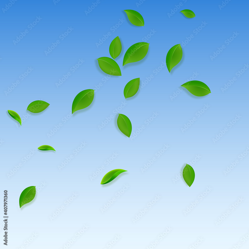 Falling green leaves. Fresh tea chaotic leaves fly Falling green leaves. Fresh tea chaotic leaves fly