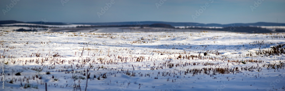 The snow-covered field of the harvested crop