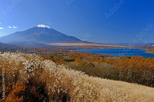 山中湖周辺のパノラマ台からの富士山の秋の景色 ススキなど紅葉が青空に映える