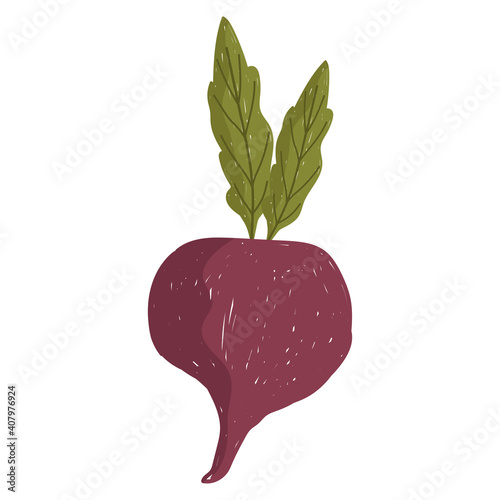 radish fresh vegetable health food icon white background