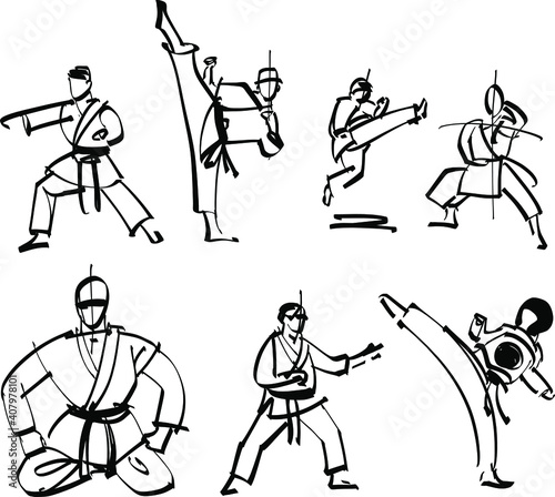the vector illustration of the karate fighter