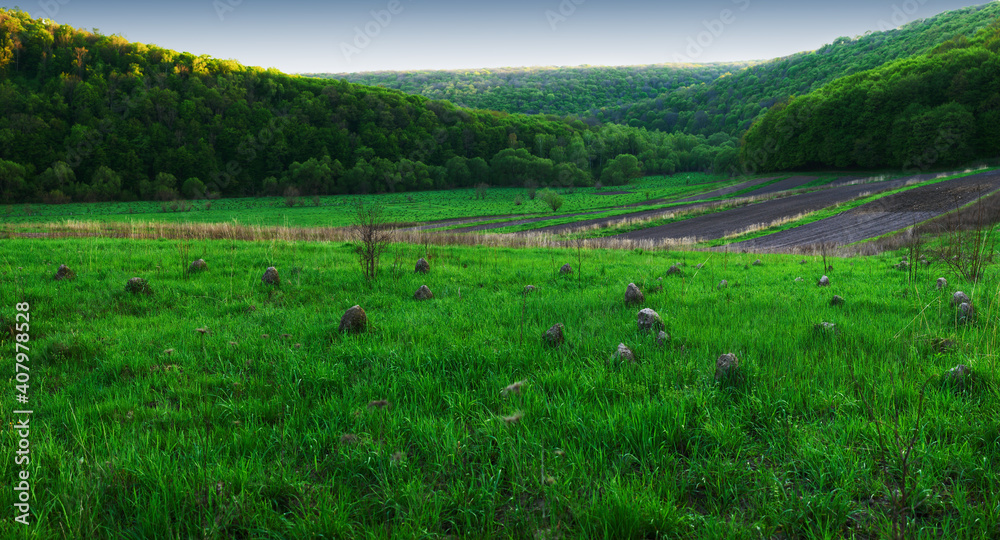 Panoramic view of the agricultural plowed agricultural field.