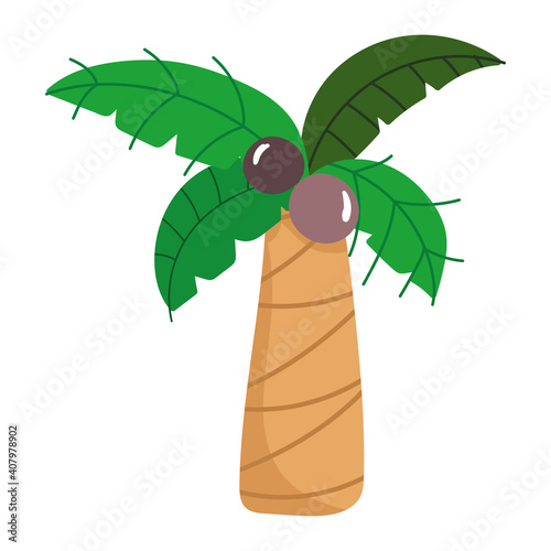 tropical palm coconut cartoon icon isolated design