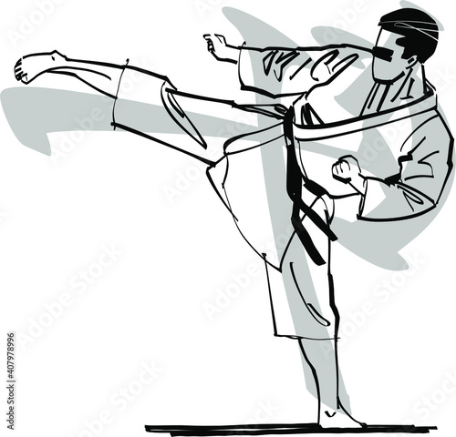 the vector illustration of the karate fighter