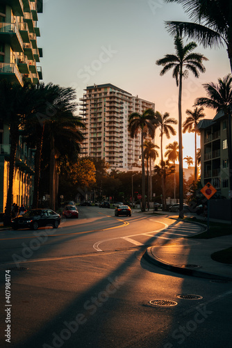 trees at sunset city buildings palms Miami Florida cars  © Alberto GV PHOTOGRAP