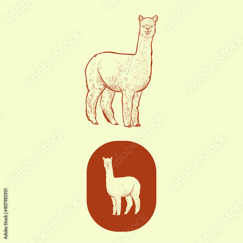 Vintage hand drawn alpacas