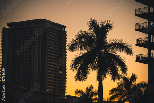 sunset over the city building palm florida  © Alberto GV PHOTOGRAP