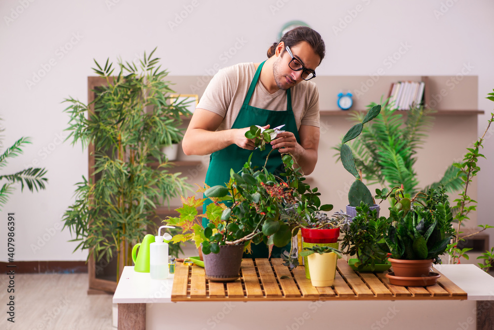 Young male gardener with plants indoors Young male gardener with plants indoors
