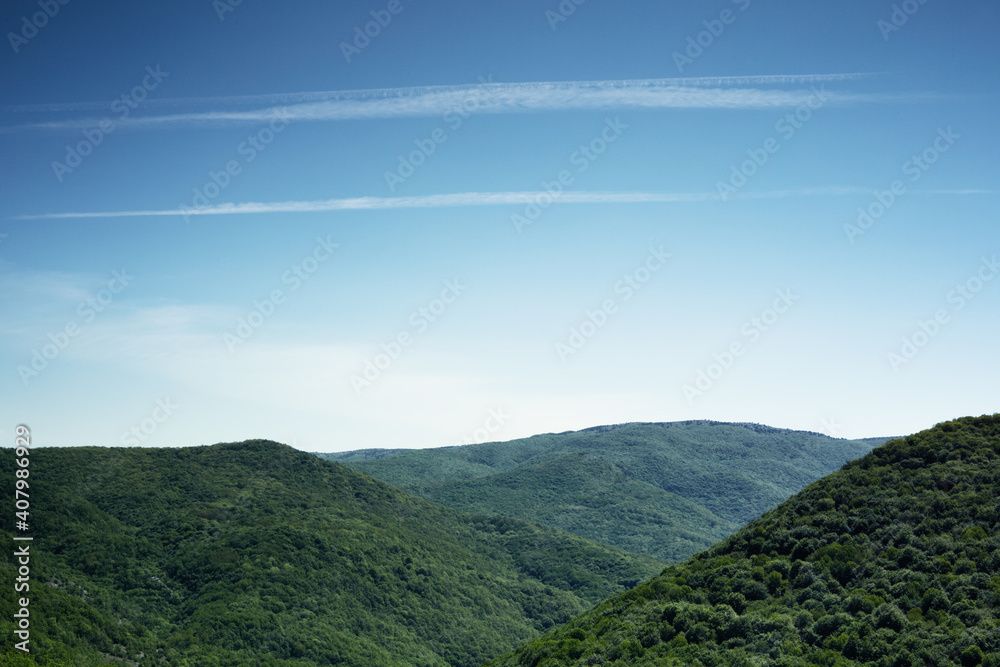 Mountain beech forest in the mountains of Crimea in the spring at dawn.