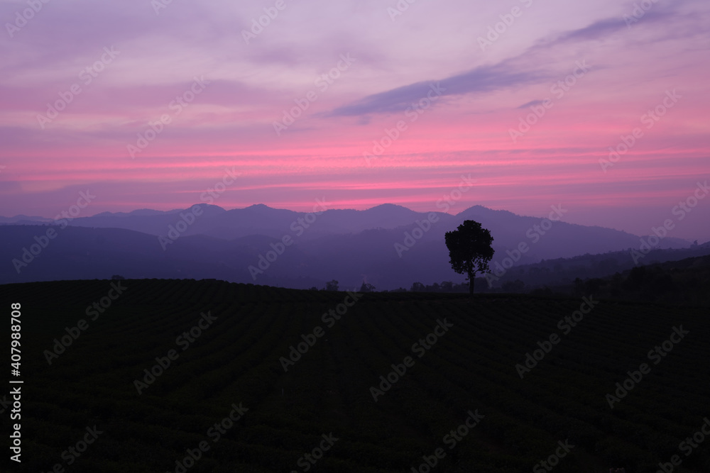 silhouette of a person walking on a hill