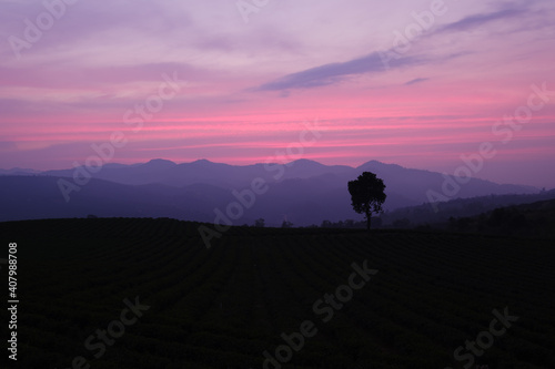 silhouette of a person walking on a hill