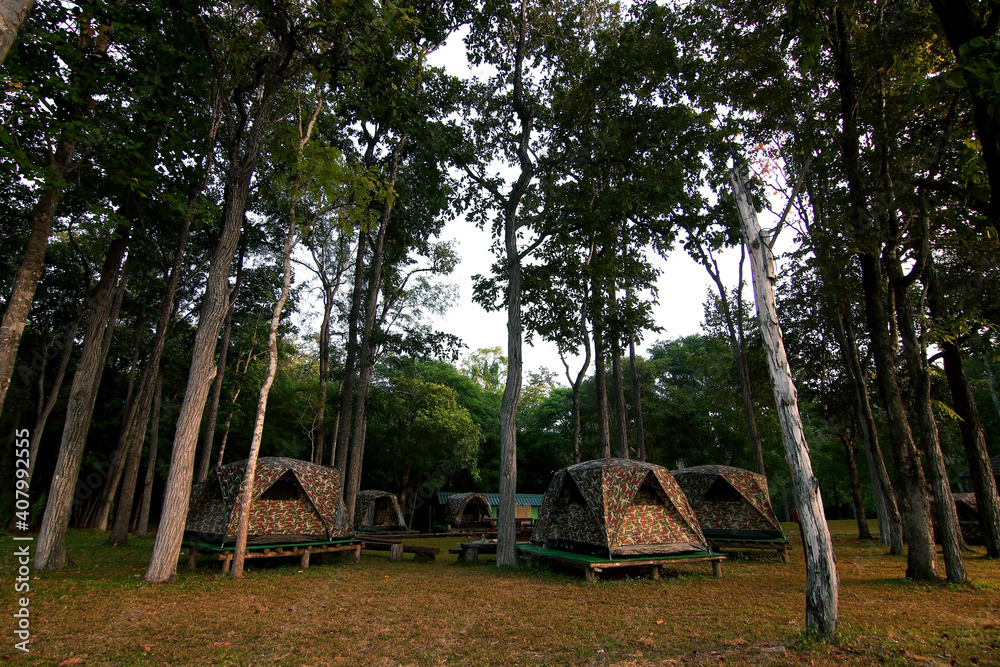 Fototapeta premium camping tents at the outdoor camp site