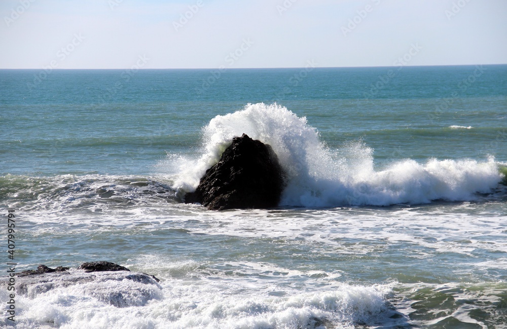 Fototapeta premium 17-Mile Drive Pebble Beach California