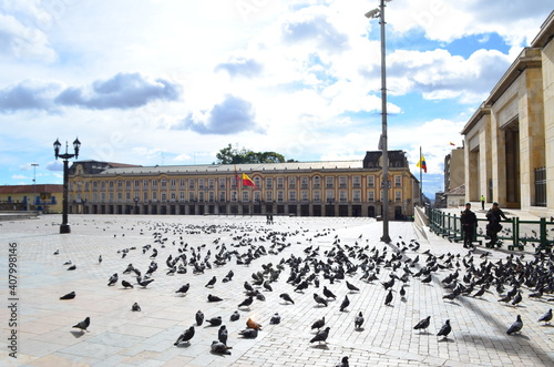  pigeons in the square