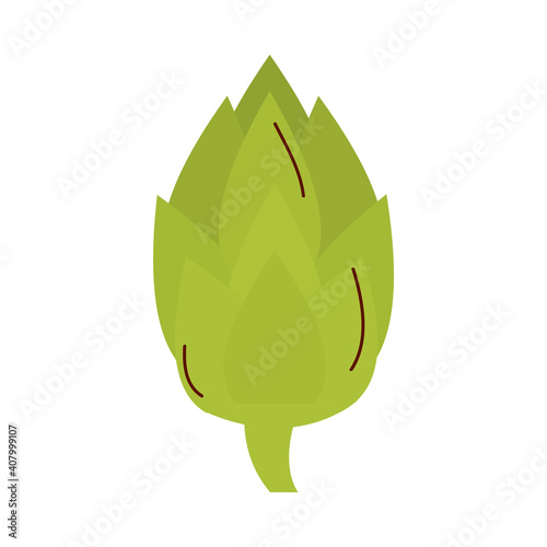artichoke vegetable icon vector design